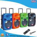 15" Single Multi-Colored Mobile Battery Speaker F28